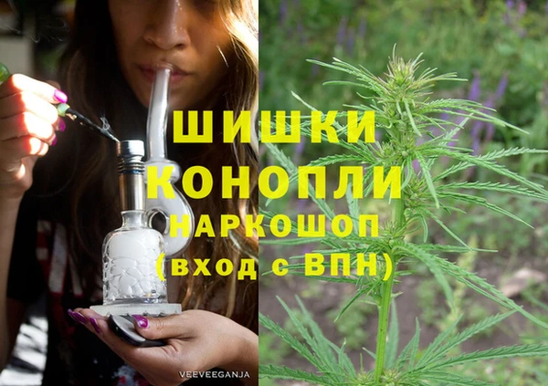 молекула духа Гусев