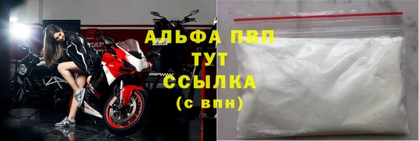 молекула духа Гусев