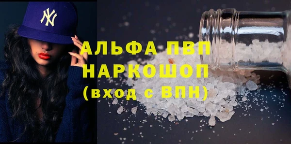 молекула духа Гусев